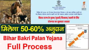 Bihar Bakri Palan Yojana 2024