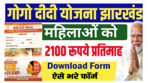 Gogo Didi Yojana Application Form PDF Download