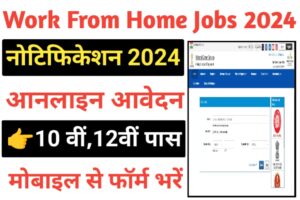 Work From Home Job 2024