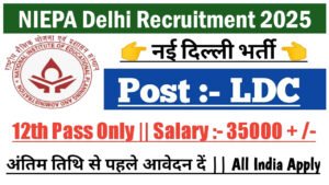 NIEPA LDC Recruitment 2025