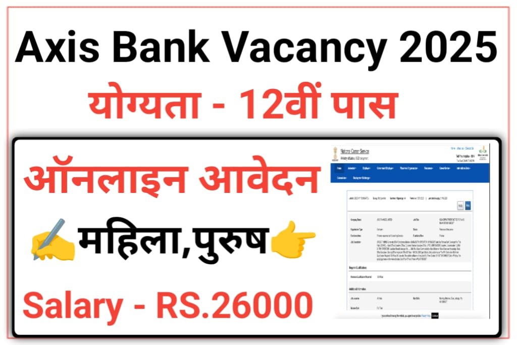 Axis Bank Data Entry Operator Vacancy 2025