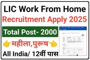 LIC Work From Home Recruitment 2025