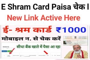 E Shram Card Wala Paisa Kaise Check Kare