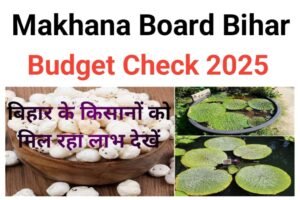 Makhana Board Bihar